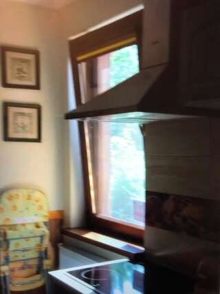 Апартаменты Квартира Яремче Апартаменты с 1 спальней-39