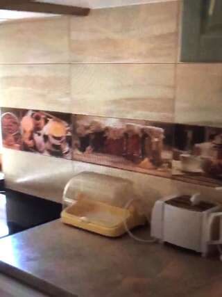 Апартаменты Квартира Яремче Апартаменты с 1 спальней-9