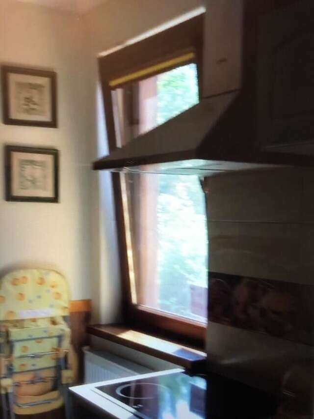 Апартаменты Квартира Яремче-21